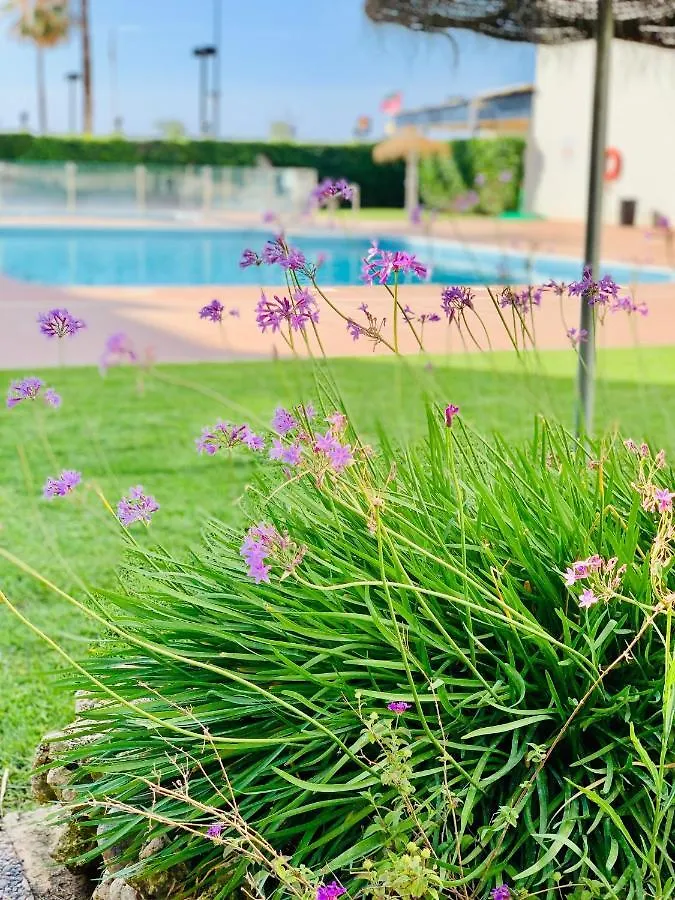Apartment Solana Girolamar 7D Fuengirola